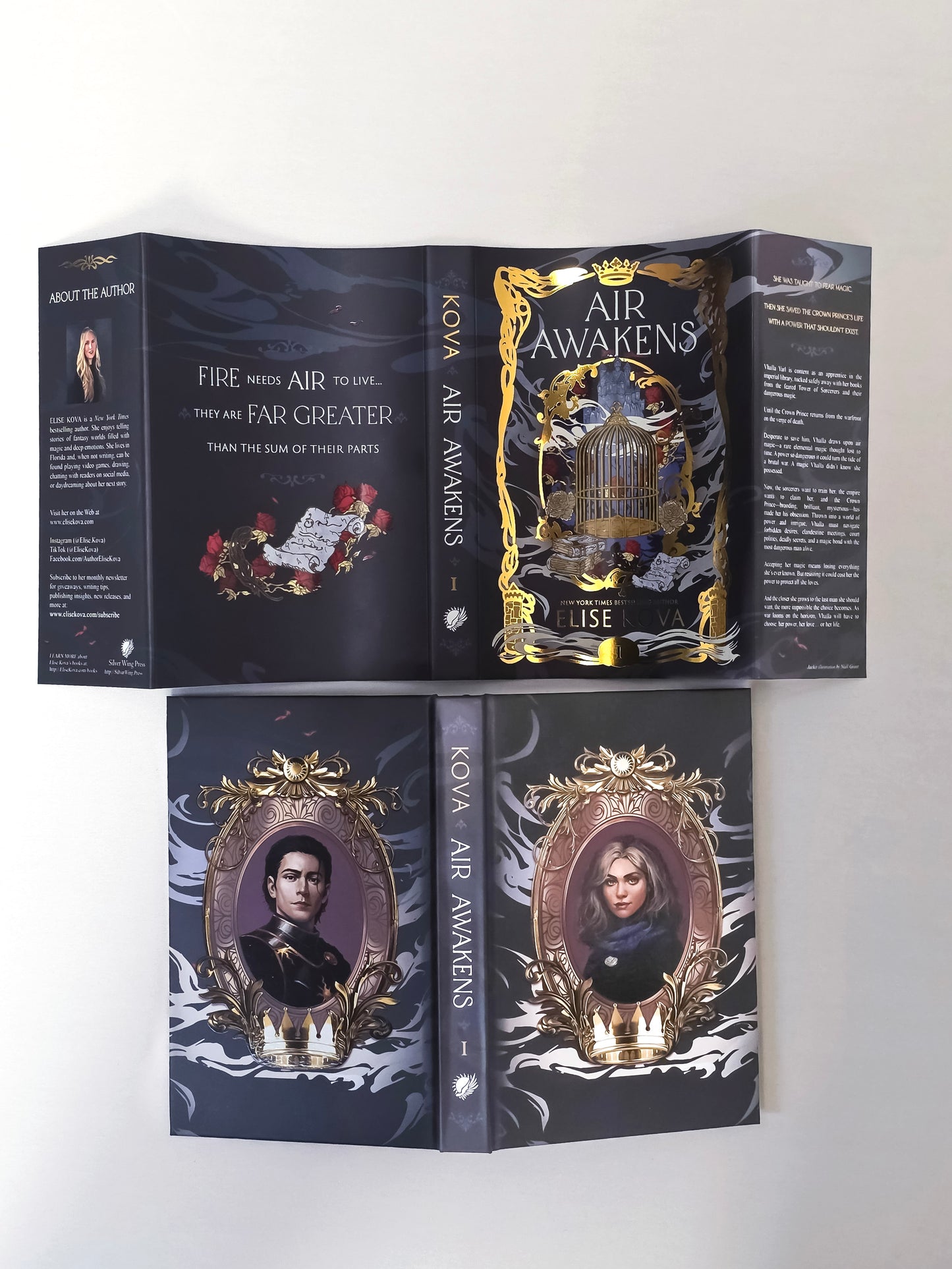 Gold foil and spot UV jacket detail on Air Awakens deluxe hardcover edition