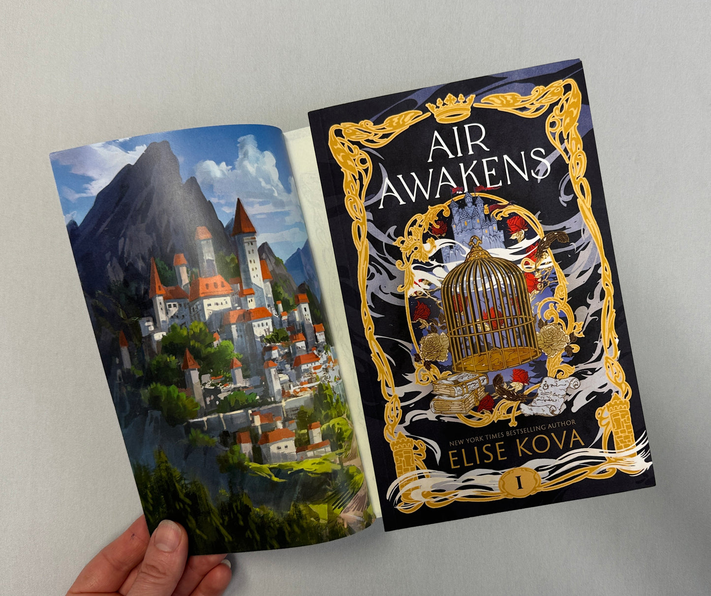 Air Awakens (Signed Paperback) - 10 Year Anniversary Edition