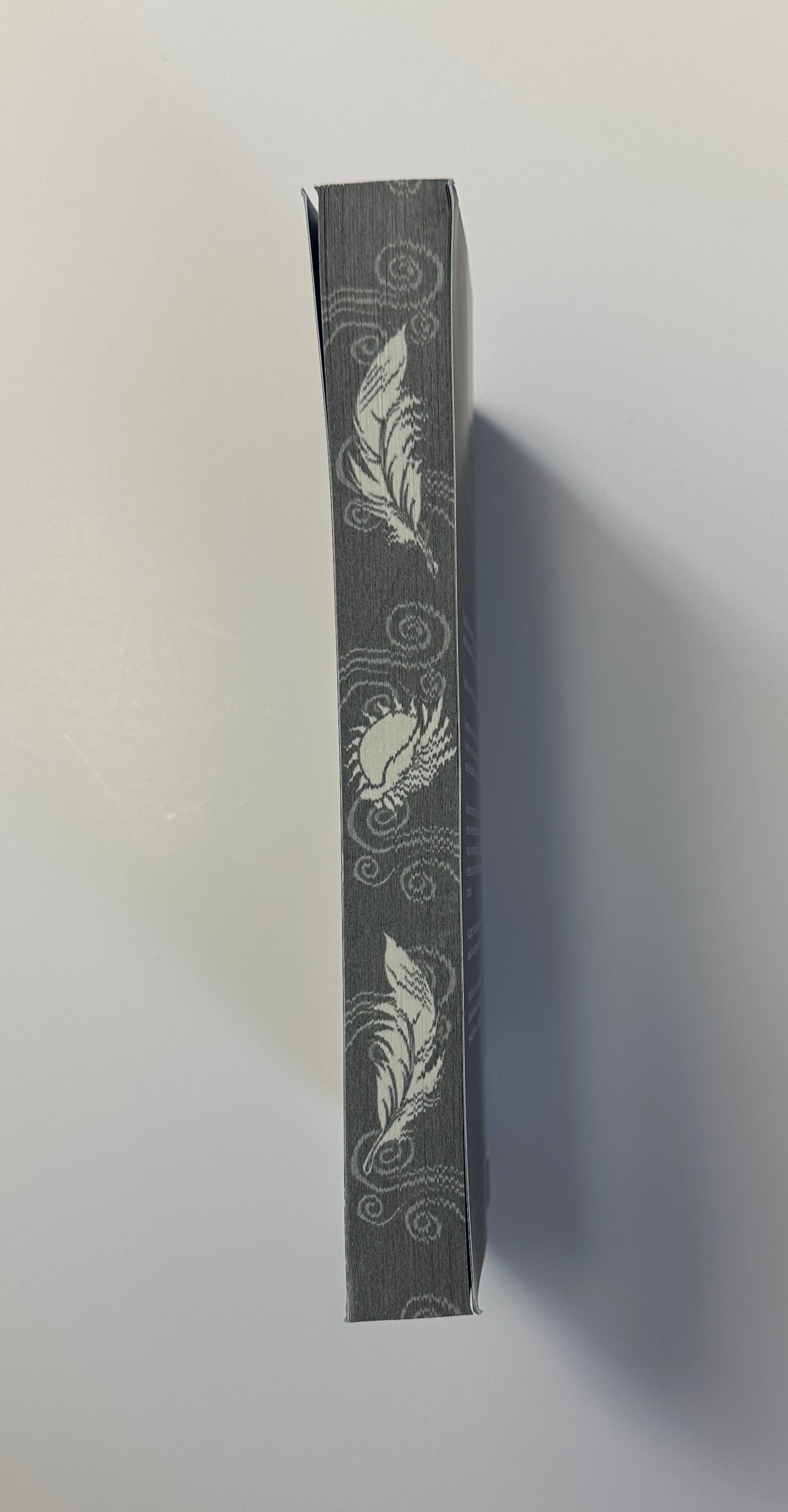 Air Awakens (Signed Paperback) - 10 Year Anniversary Edition