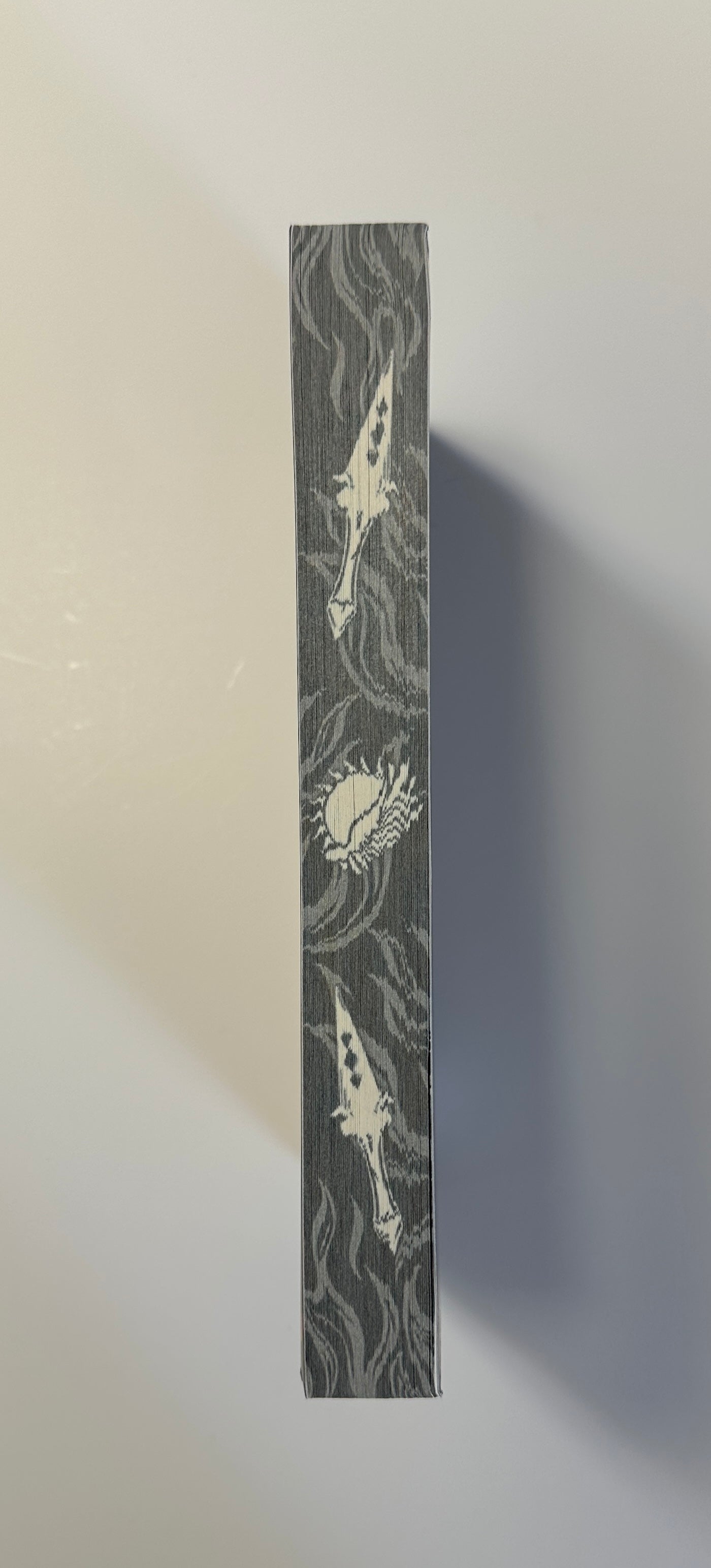 Fire Falling (Signed Paperback) - 10 Year Anniversary Edition